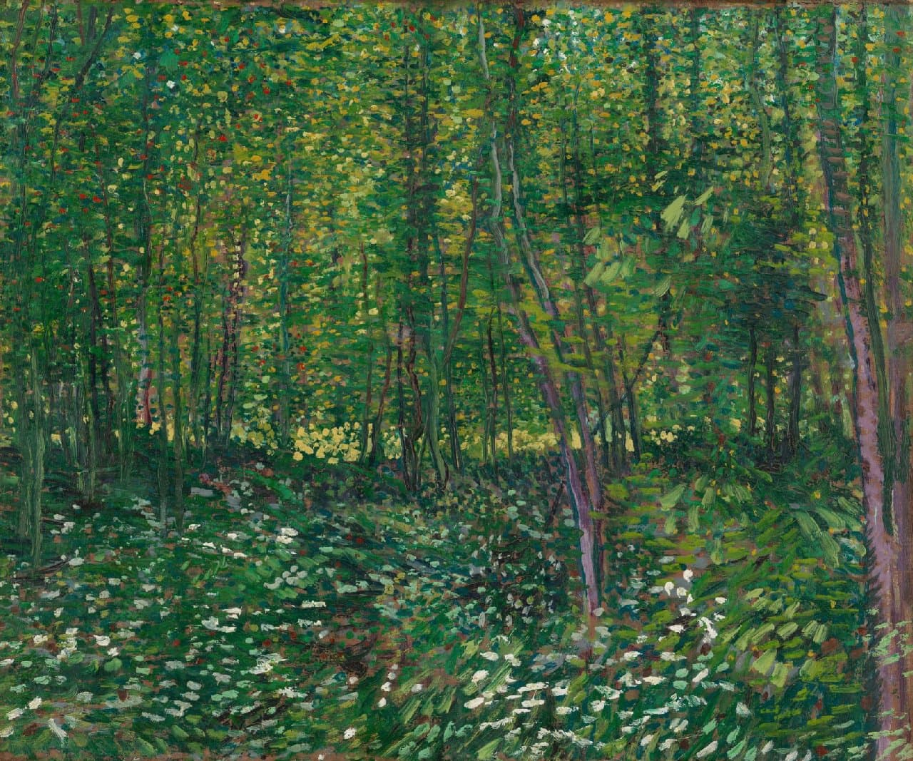 Ван Гог, Деревья и подлесок, 1887
